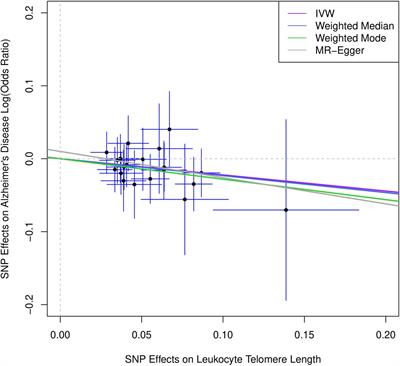 Genetically Predicted Telomere Length and Its Relationship With Alzheimer’s Disease